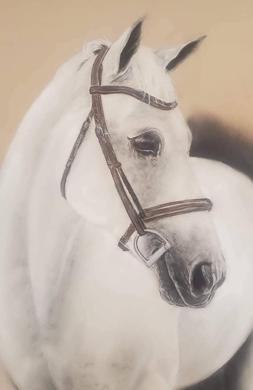 Untitled portrait d'un cheval au pastel sec