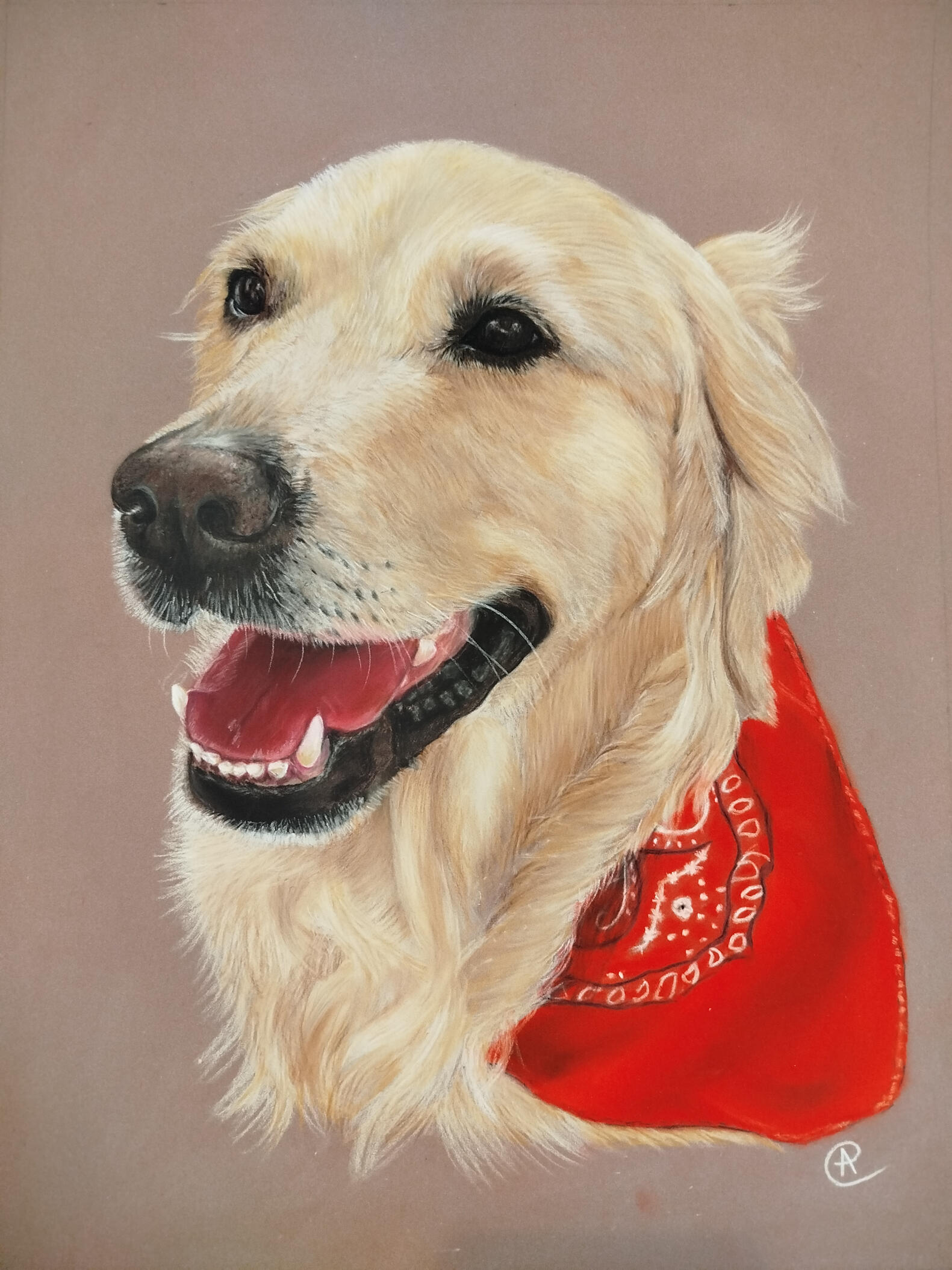 Untitled Portrait de Golden Retriever au pastel sec